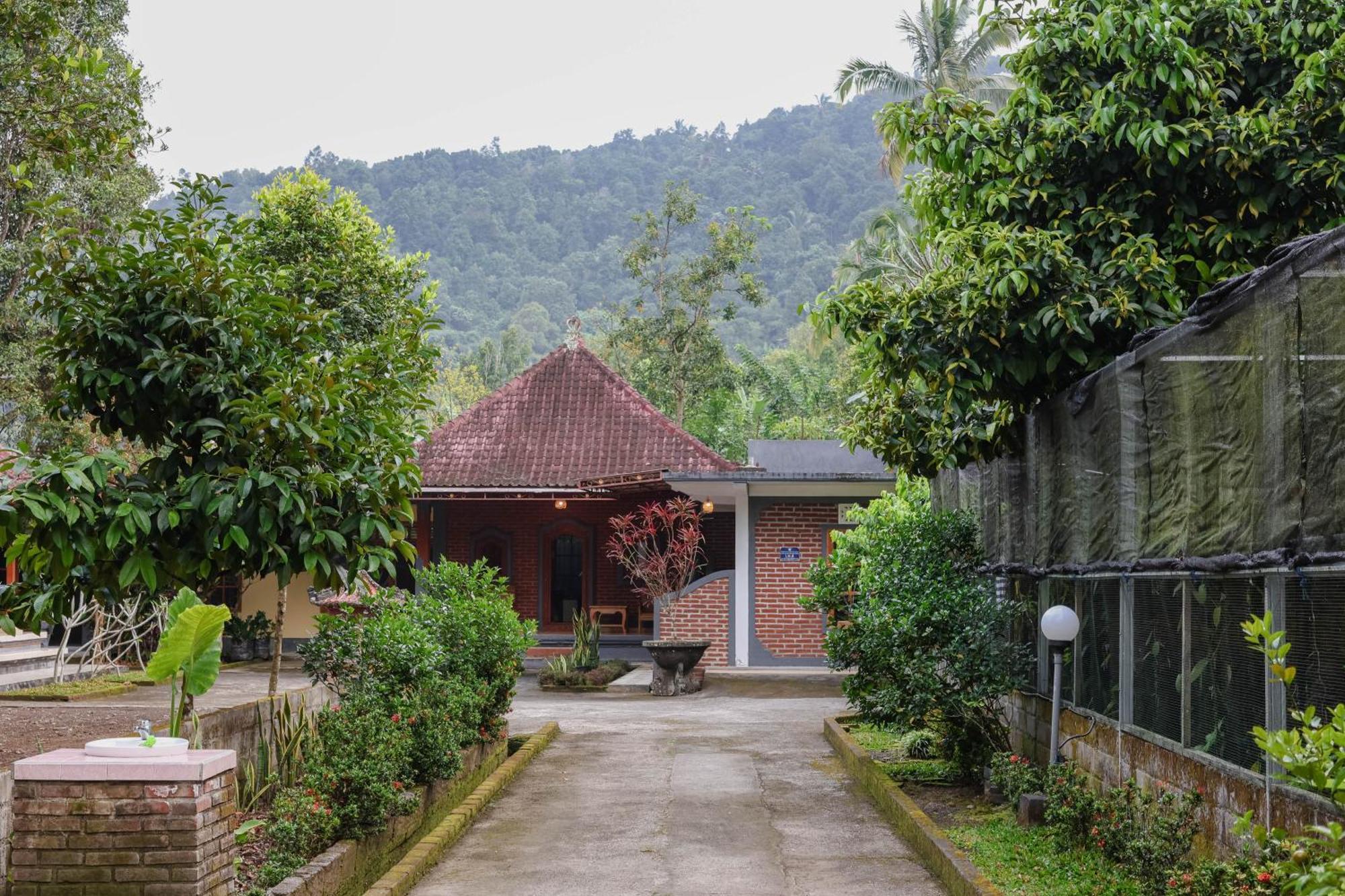The Kori Homestay Munduk Exterior foto